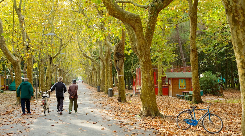 Pineta di Ponente mostrando colores de otoño, un parque y ciclismo