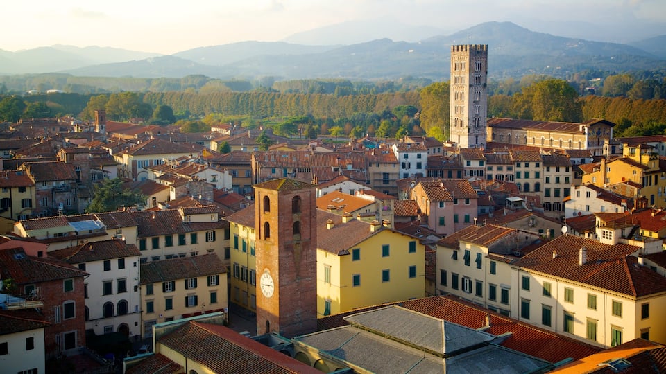Torre Guinigi caratteristiche di piccola città o villaggio, architettura d\'epoca e skyline