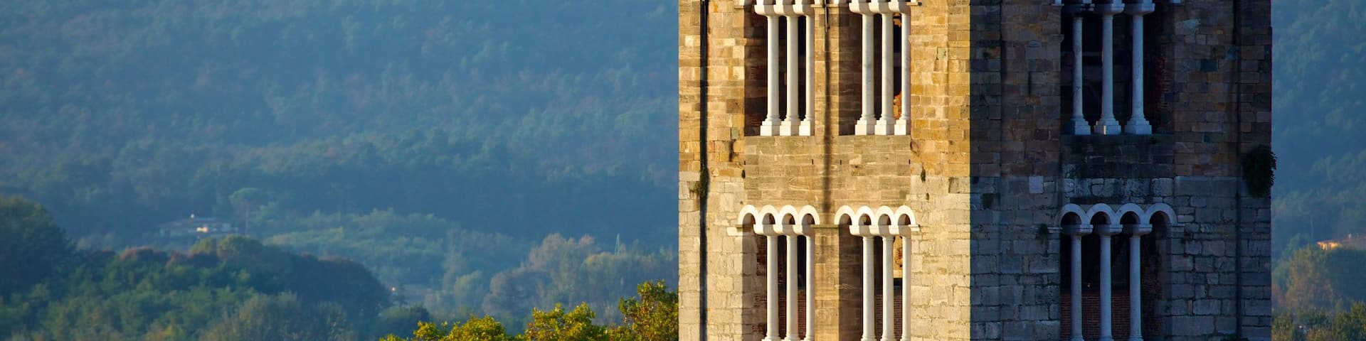 Guinigi Tower which includes forest scenes and heritage architecture
