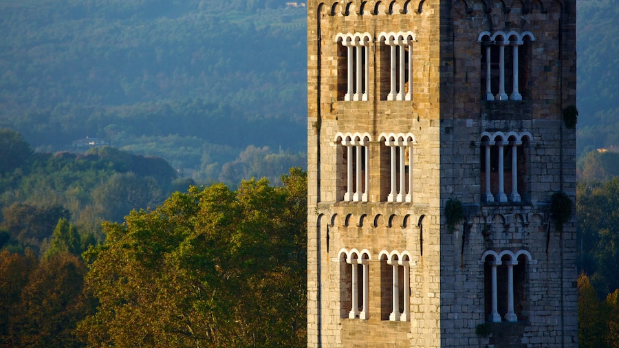 Guinigi Tower which includes forest scenes and heritage architecture
