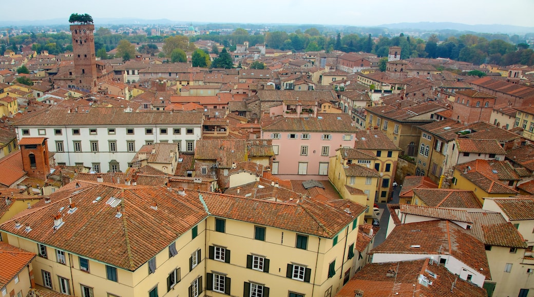 Torre delle Ore which includes a city, heritage elements and landscape views