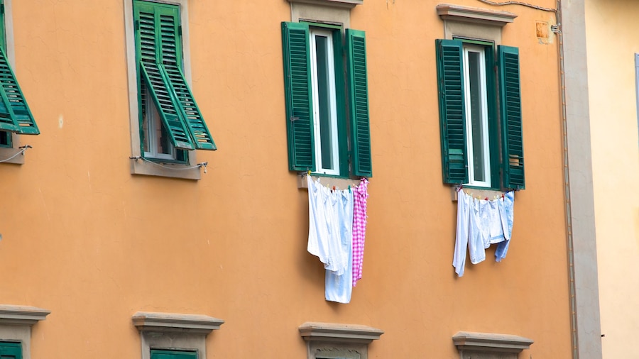 Livorno som visar ett hus