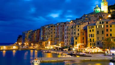 Cinque Terre which includes a coastal town, a marina and night scenes