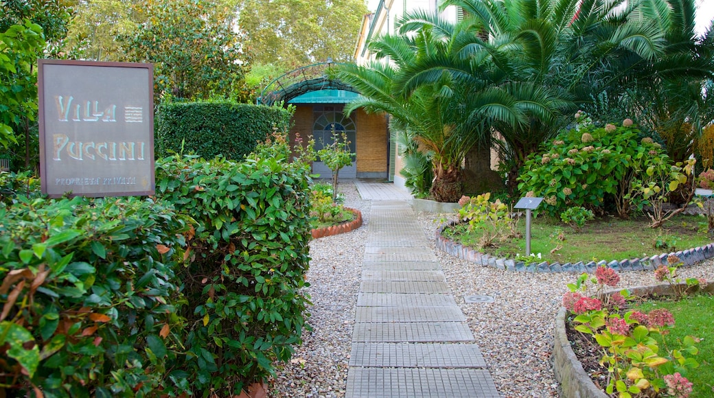 Villa Puccini showing a garden and signage