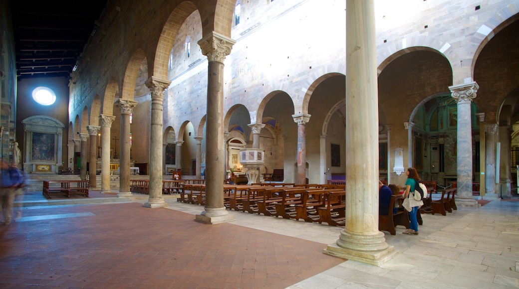 Basilica di San Frediano presenterar interiörer, en kyrka eller katedral och historisk arkitektur