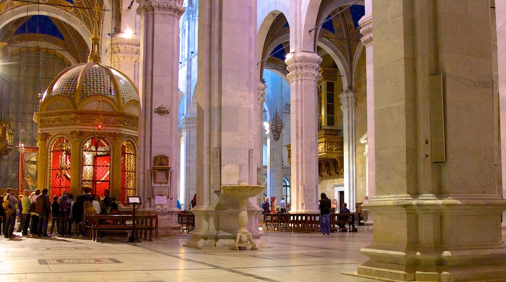 Catedral de San Martín mostrando aspectos religiosos, arquitectura patrimonial y vista interna