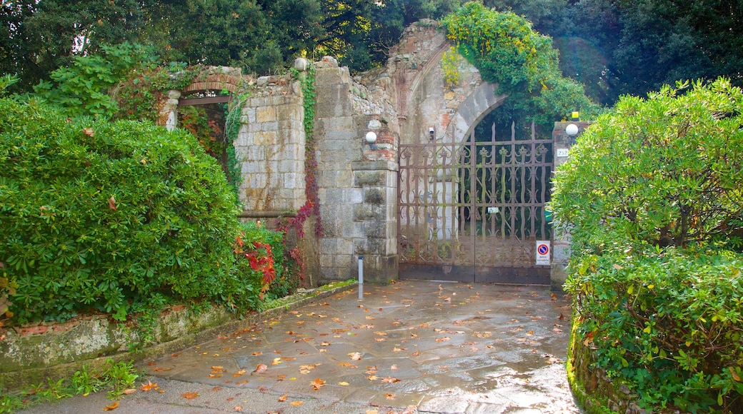 Lago di Massaciuccoli bevat een tuin