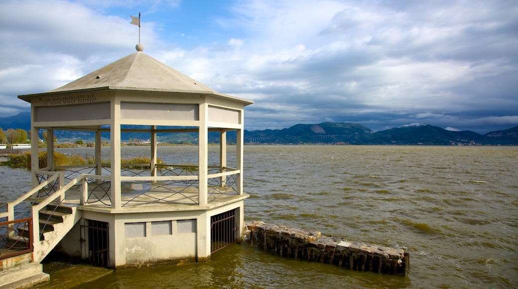 Massaciuccoli Lake showing a lake or waterhole and skyline