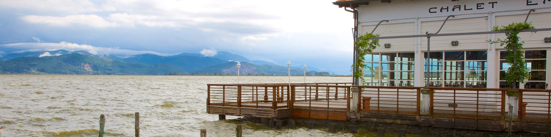 Lago di Massaciuccoli welches beinhaltet Brücke, Bootfahren und See oder Wasserstelle