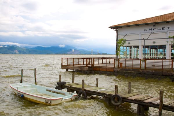 Lago di Massaciuccoli welches beinhaltet Brücke, Bootfahren und See oder Wasserstelle