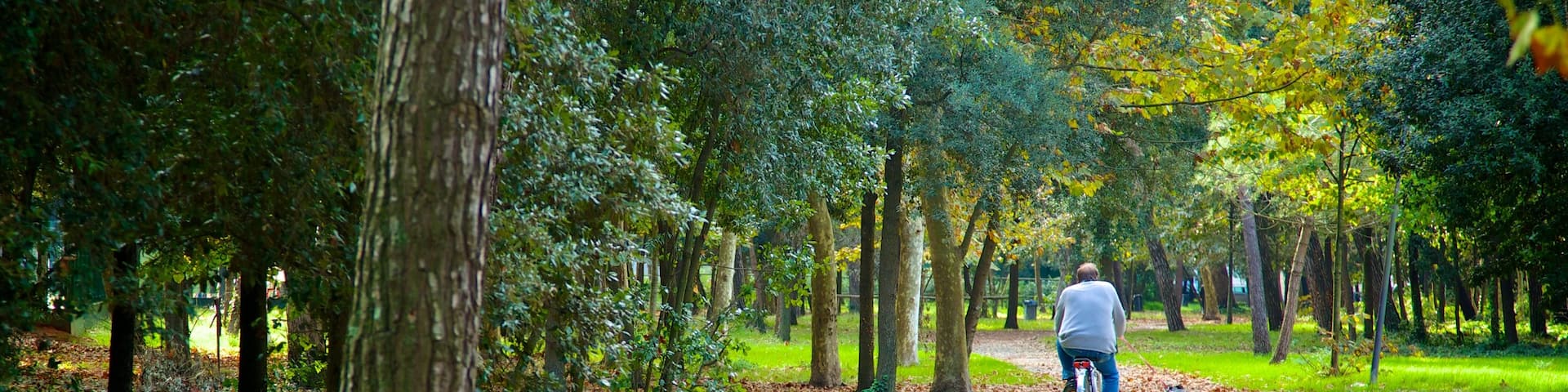 Pineta di Ponente showing cycling and a park as well as an individual male