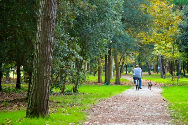 Pineta di Ponente qui includes vélo et jardin aussi bien que homme