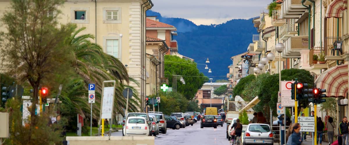 Passeggiata di Viareggio featuring a city and street scenes
