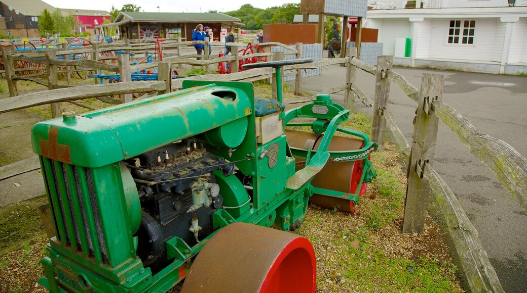 Hop Farm Family Park featuring a park and a playground