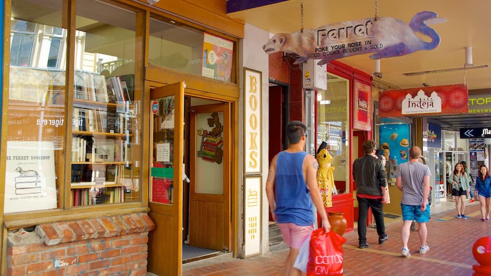 Cuba Street Mall featuring a city and shopping