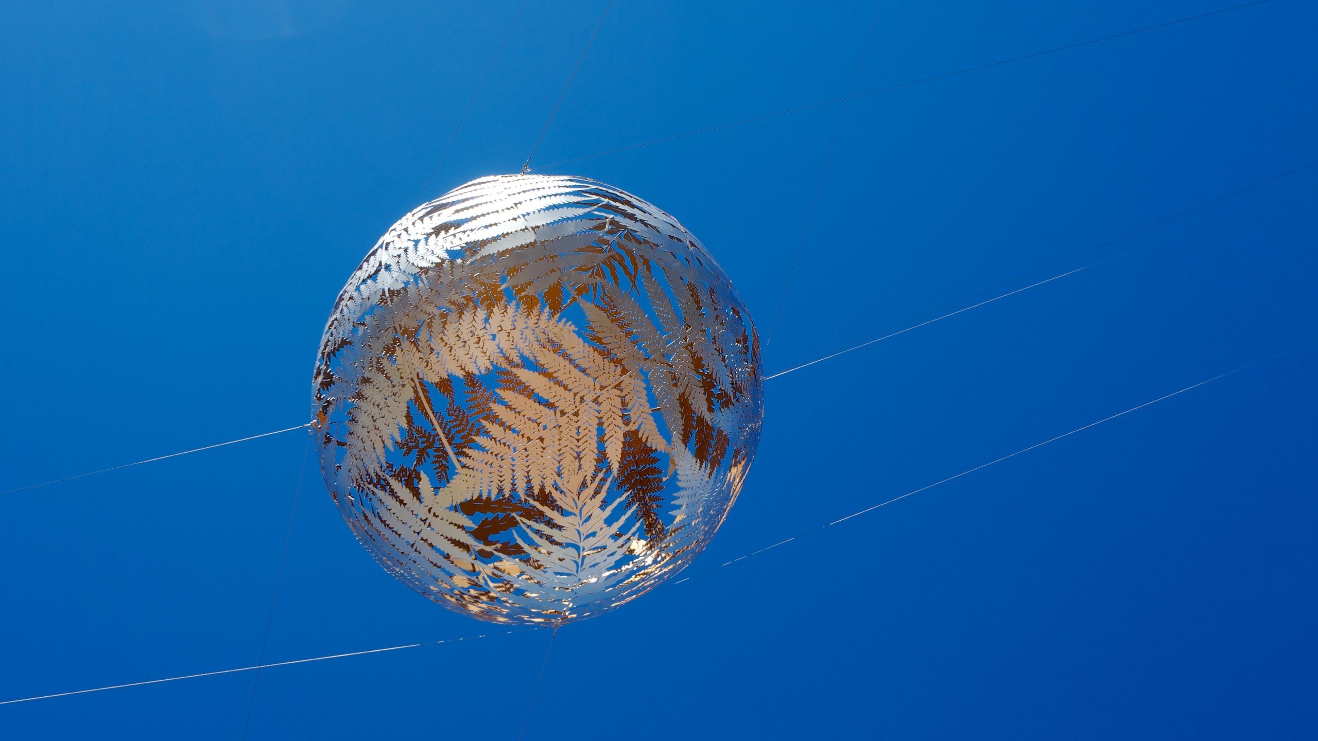 威靈頓市立美術館 其中包括 戶外藝術 和 藝術