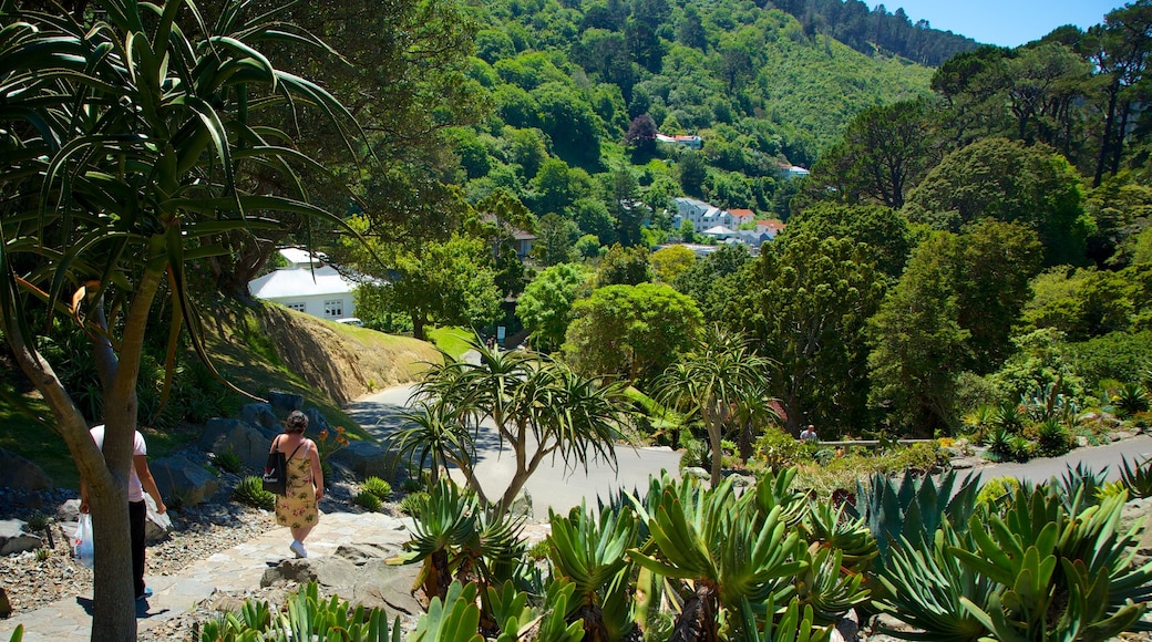 Wellington Botanic Garden showing hiking or walking and a park