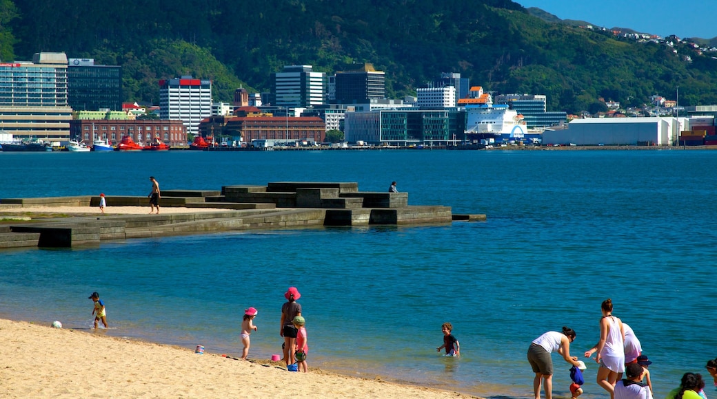 Oriental Bay Beach mostrando vista della costa, nuoto e spiaggia sabbiosa