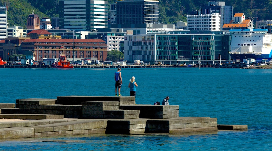 Oriental Bay Beach showing general coastal views and a coastal town