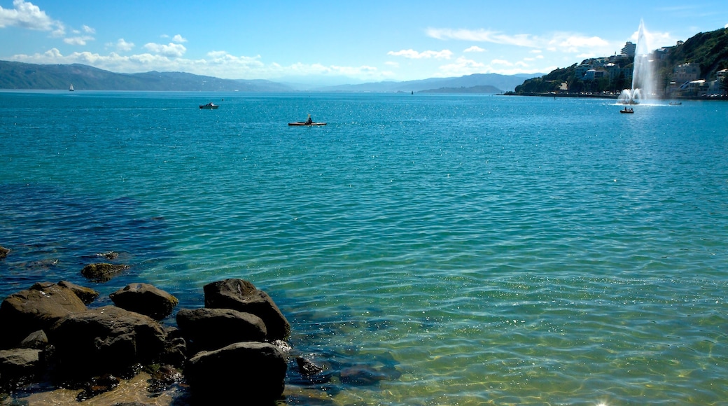 Oriental Bay Beach showing rugged coastline and kayaking or canoeing