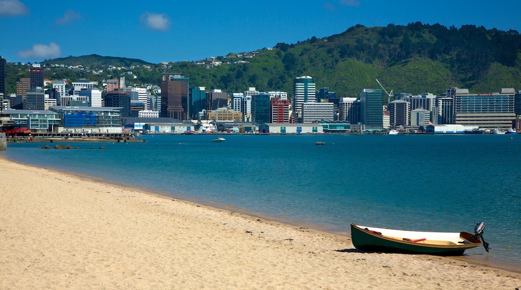 Oriental Bay Beach som inkluderer strand, båter og kyst