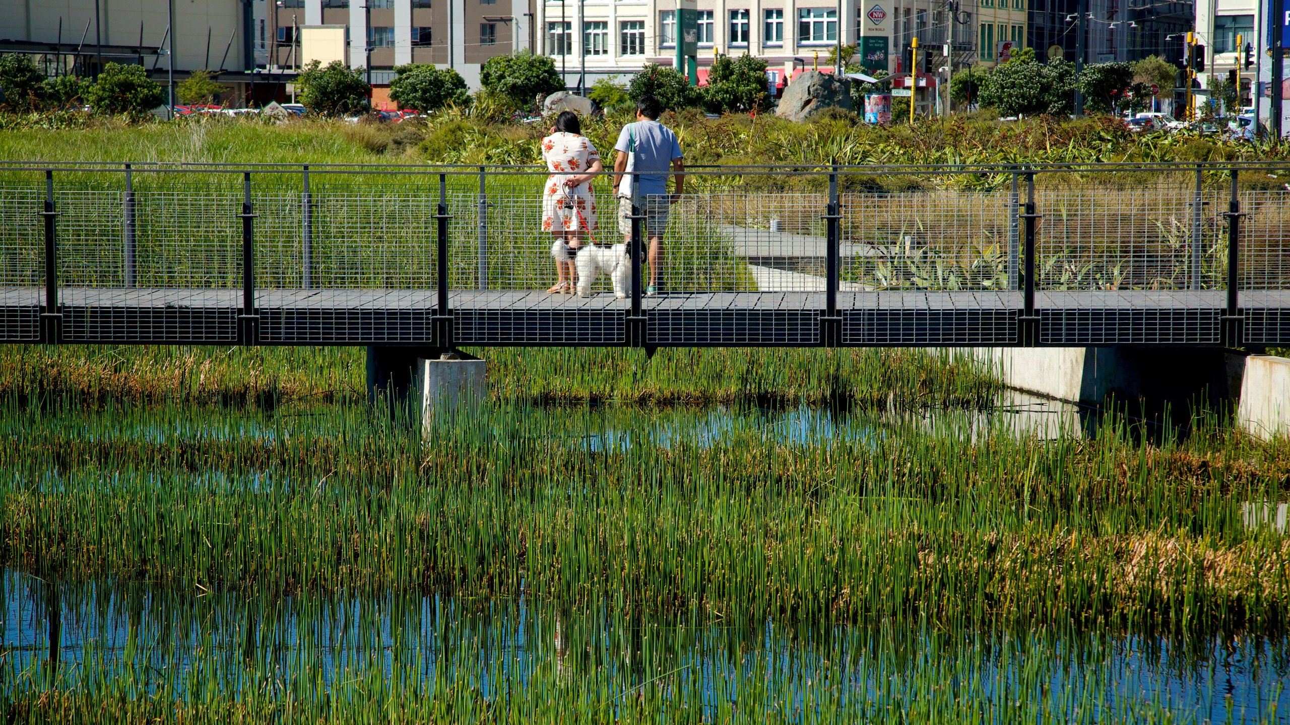 Wellington featuring a pond and a bridge as well as a couple