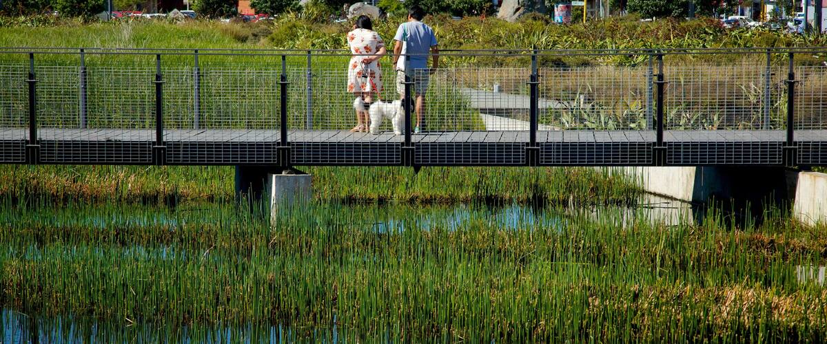 Wellington showing a pond and a bridge as well as a couple