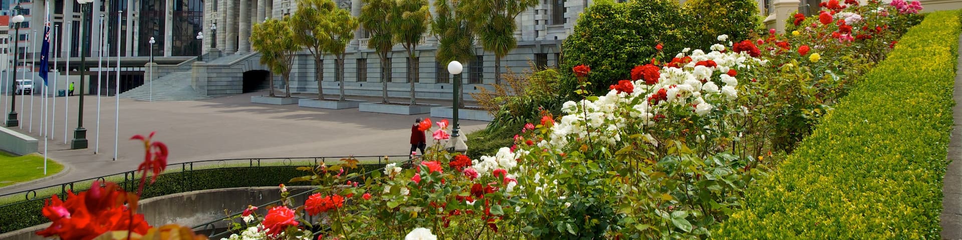 Wellington Parliament featuring flowers and heritage architecture