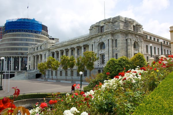 Wellington Parliament showing heritage architecture and flowers