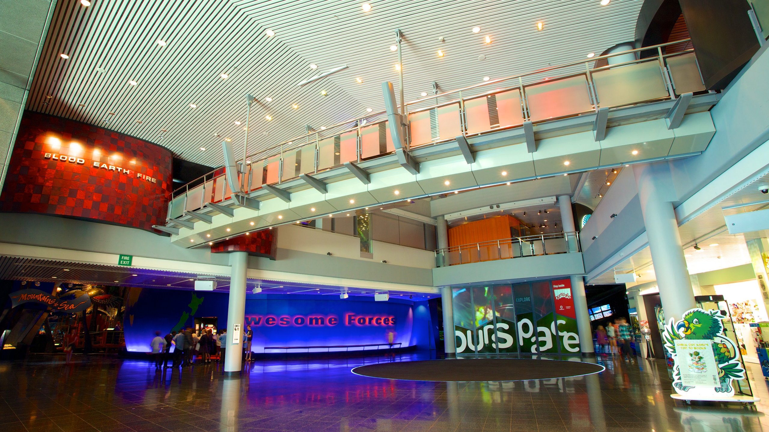 Te Papa featuring interior views