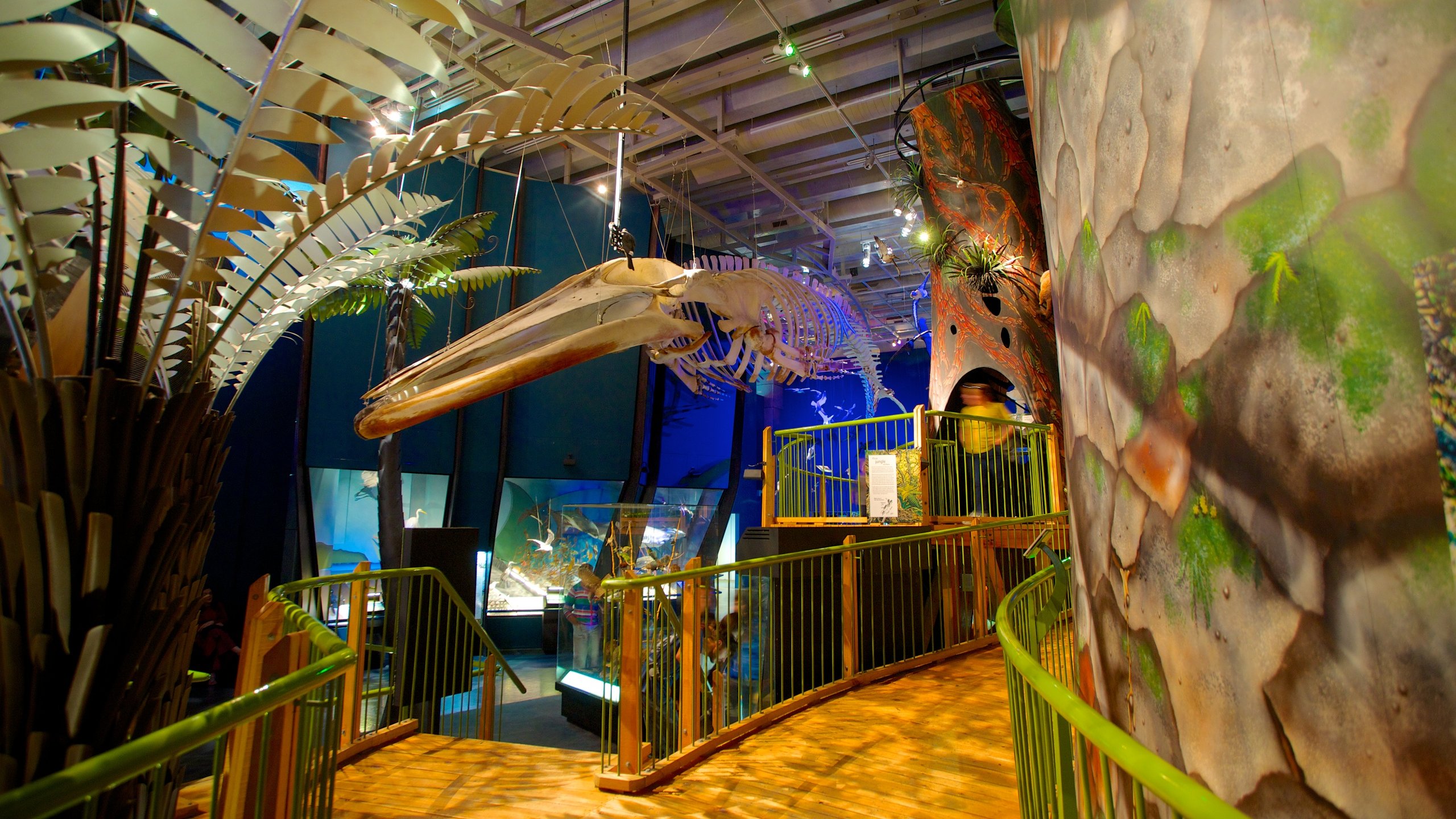 Te Papa showing interior views