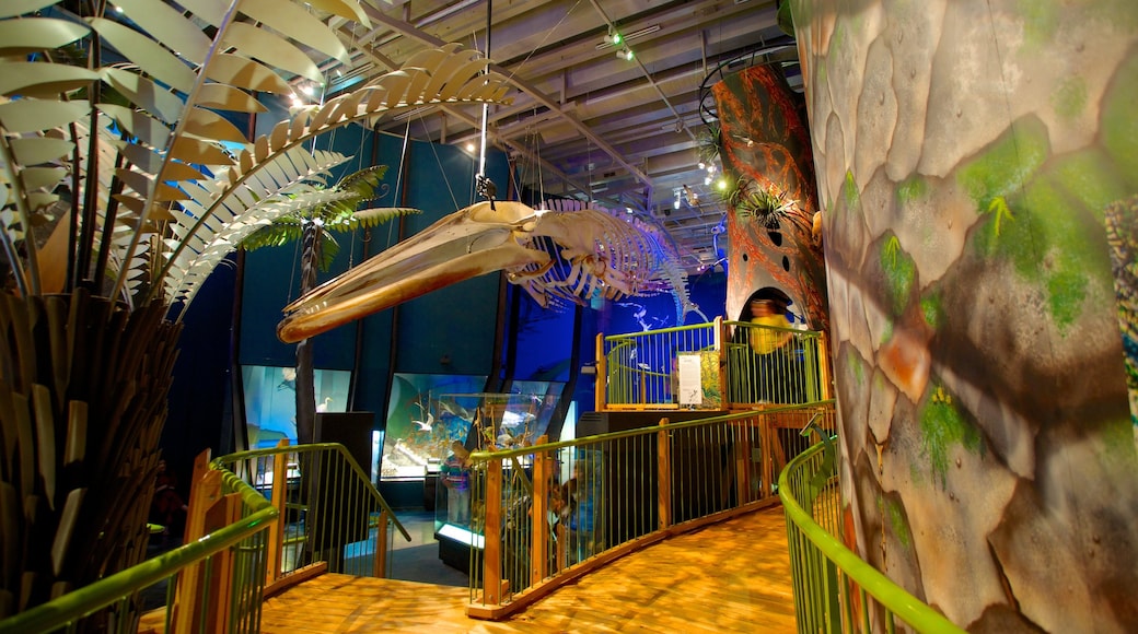 Te Papa showing interior views