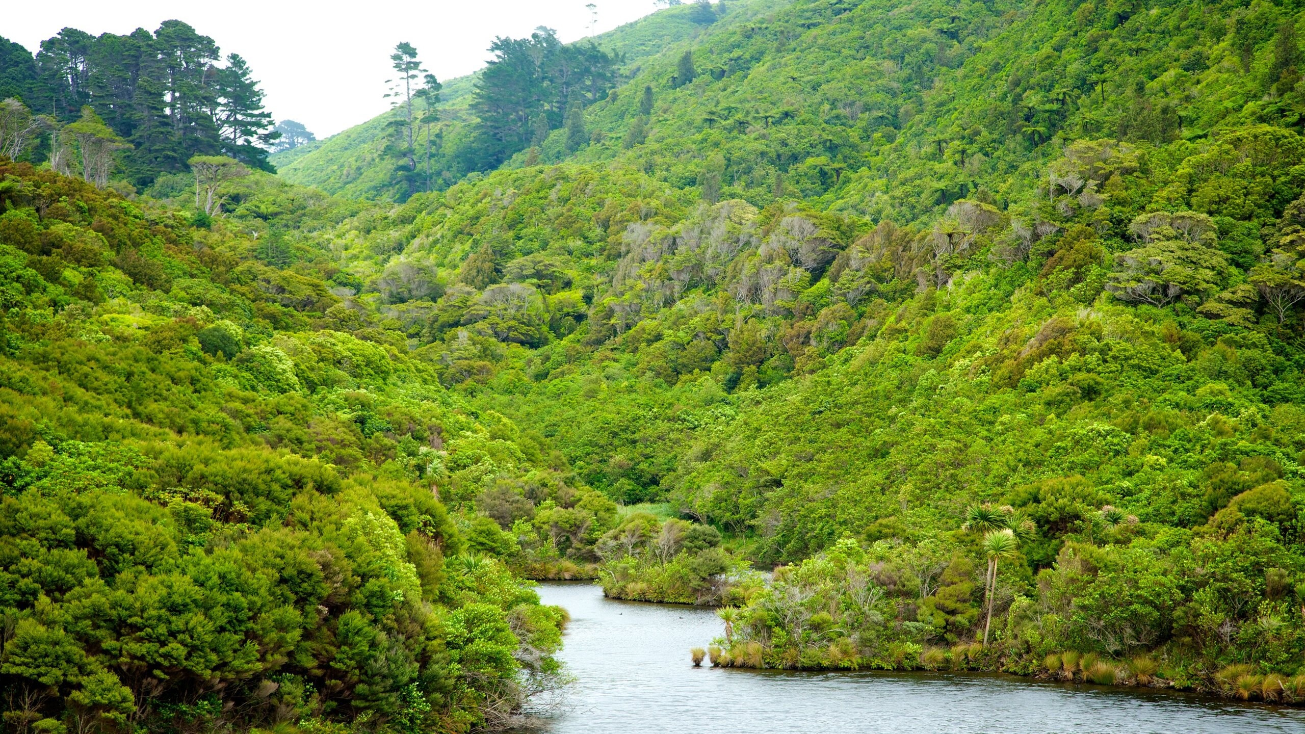 Zealandia, NZ holiday homes from NZ 125/night Bookabach