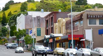 Devonport welches beinhaltet Straßenszenen