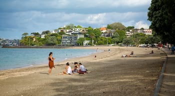 Mission Bay showing a coastal town and a sandy beach