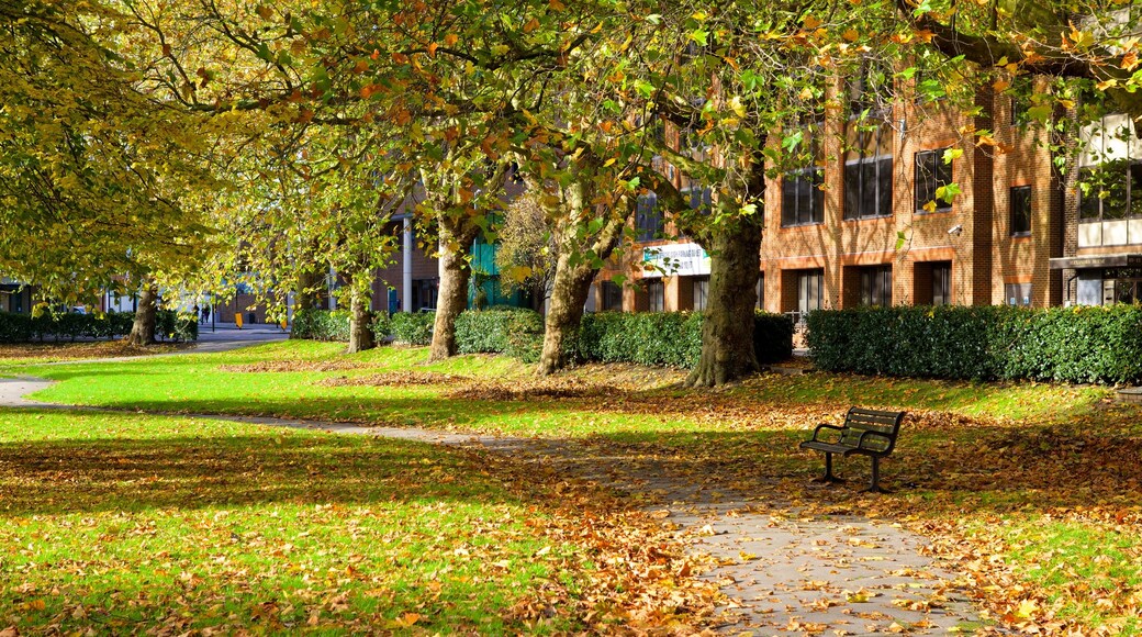 Queen's Park