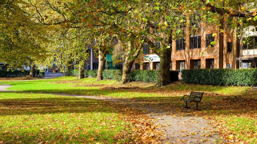 Queen\'s Park which includes a garden and autumn leaves