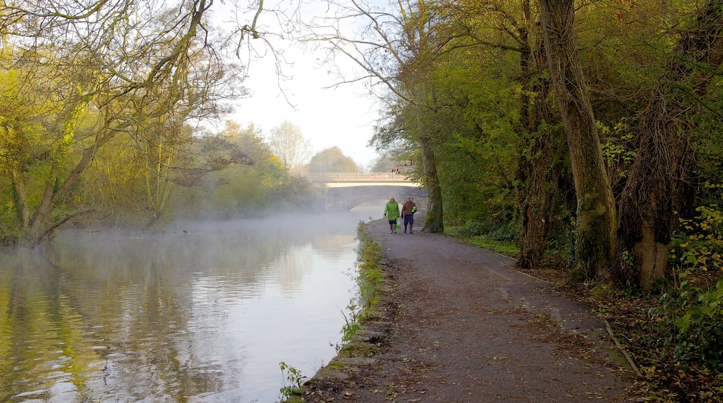 Riverside Park showing mist or fog, a river or creek and a park