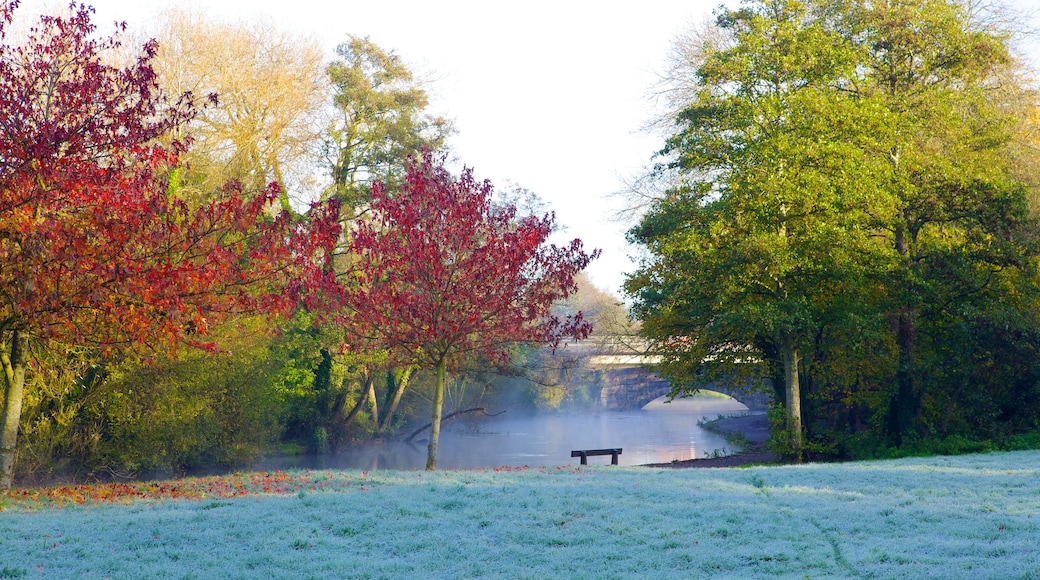 Parco fluviale caratteristiche di colori d\'autunno, parco e fiume o ruscello