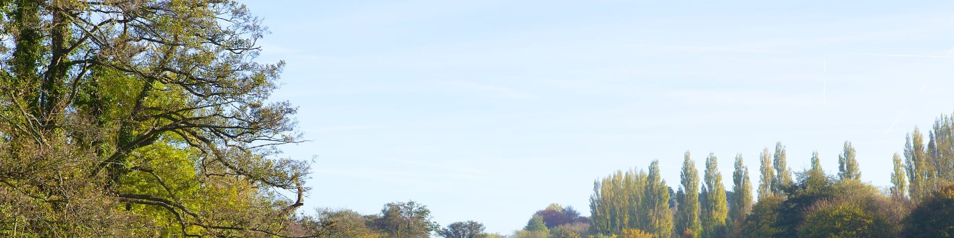 リバーサイド パーク フィーチャー 公園 と 池 及び 男性 (個人)