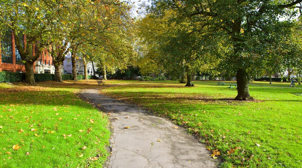 Queen\'s Park showing a garden