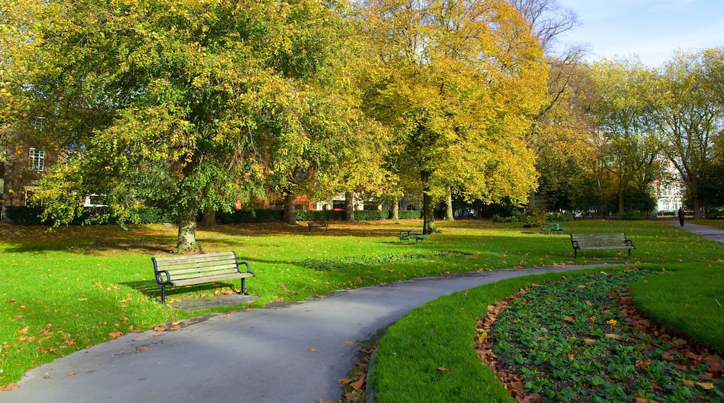 Queens Park que incluye un parque y hojas de otoño