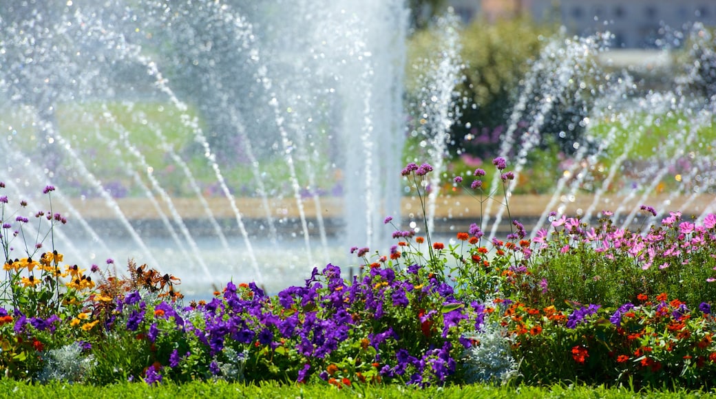 Parc Borely featuring a fountain, a park and flowers