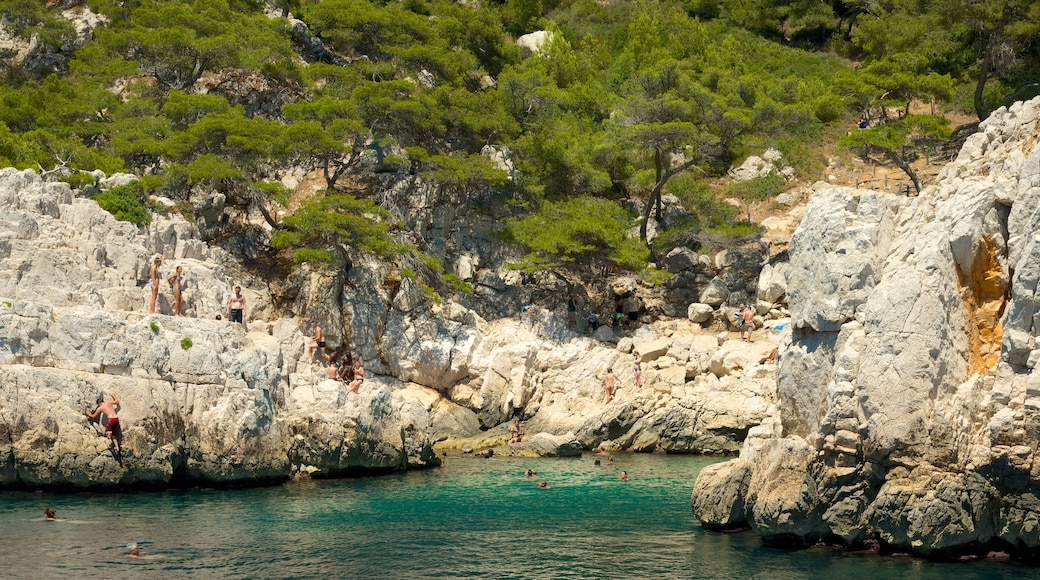 Calanques welches beinhaltet schroffe Küste