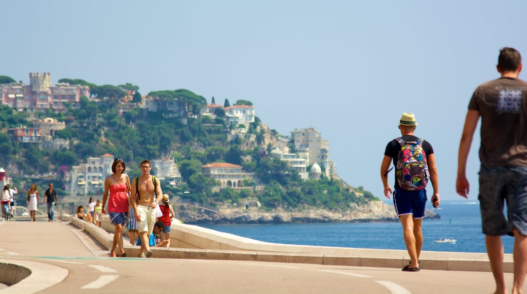 Nizza caratteristiche di baia e porto, località costiera e vista della costa