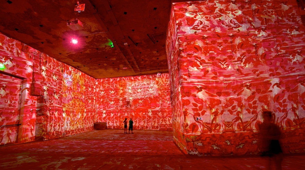 Carrieres de Lumieres showing interior views and art