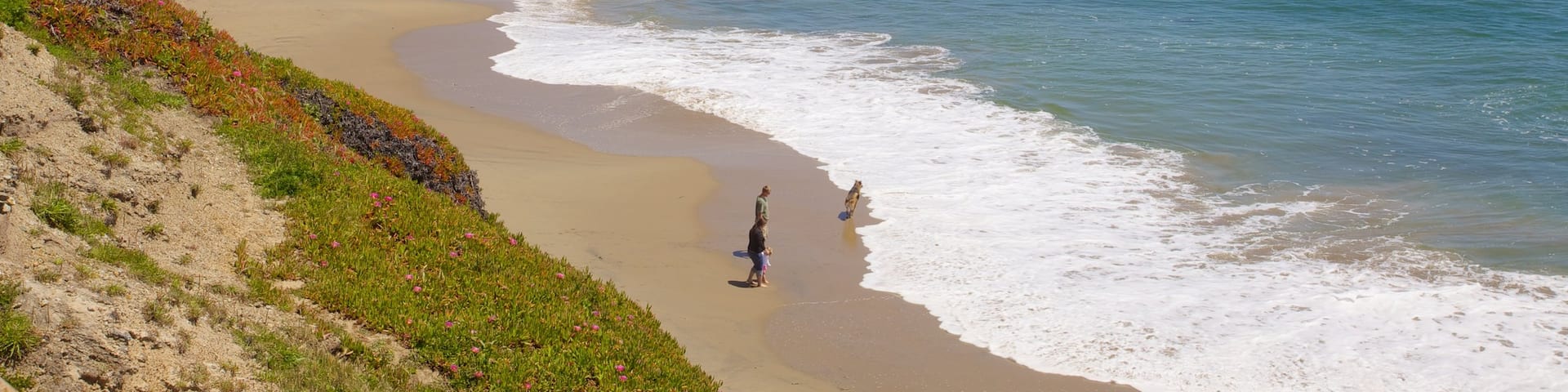 Santa Cruz, California, Estados Unidos