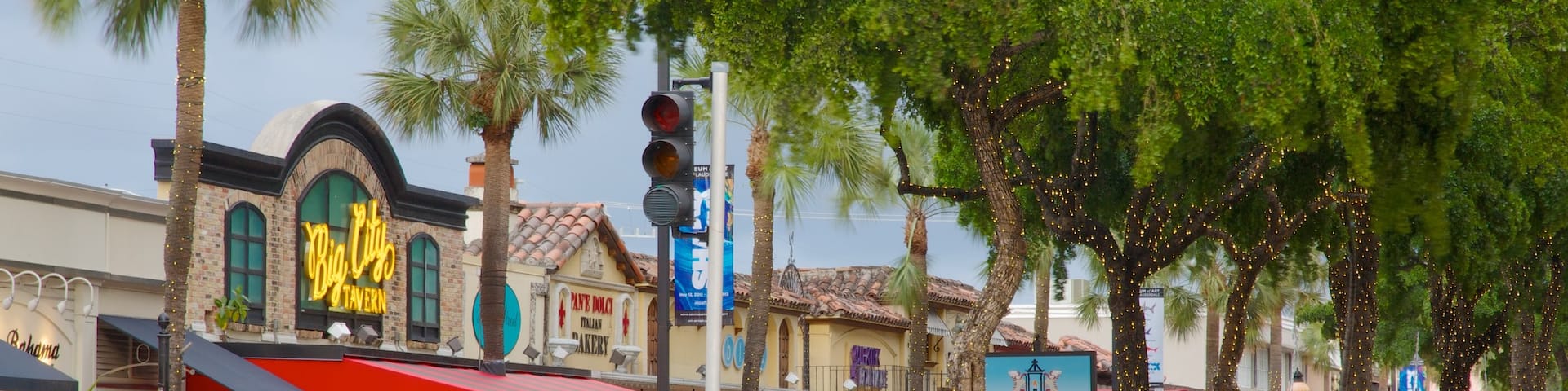 Las Olas Boulevard featuring street scenes and a city