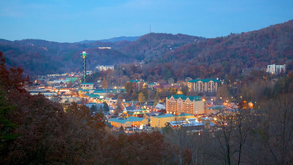 Gatlinburg showing night scenes, forests and a small town or village