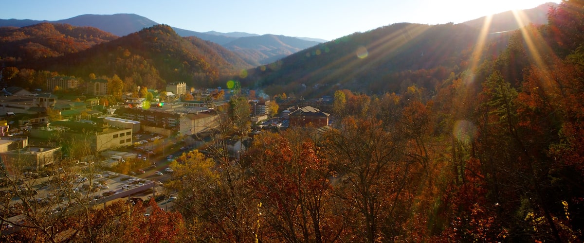 Gatlinburg showing landscape views and autumn leaves